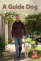 Leveled Reader Bookroom Package Blue (Levels 9-11) A Guide Dog-9780544026698