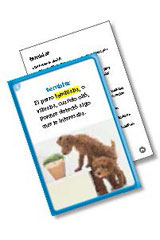 Vocabulary in Context Cards Grade 4