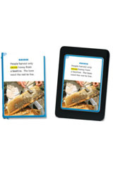 Vocabulary In Context Cards Grade 2