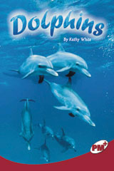 Individual Student Edition Ruby (Levels 27-28) Dolphins