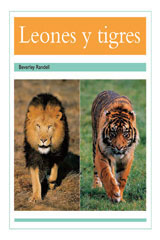 Leveled Reader 6pk turquesa (turquoise) (Levels 17-18) Leones y tigres (Lions and Tigers)