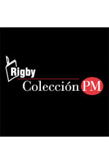 Single Copy Collection morado (purple)