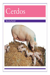 Leveled Reader 6pk morado (purple) Cerdos (Pigs)