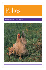 Leveled Reader 6pk morado (purple) Pollos (Chickens)