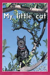 Individual Student Edition Magenta (Level 2) My Little Cat