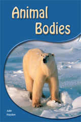 Leveled Reader 6pk Yellow (Levels 6-8) Animal Bodies Animal Bodies