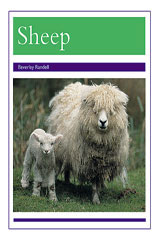 <em>Leveled</em> <em>Reader</em> <em>Bookroom</em> <em>Package</em> <em>Purple</em> (<em>Levels</em> <em>19</em>-<em>20</em>) Animals - Sheep